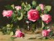 Robert Johnson robert johnson pink roses stillife floral oil painting