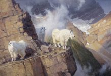 Ralph Oberg "The Enlightened" wildlife painting mountain goats