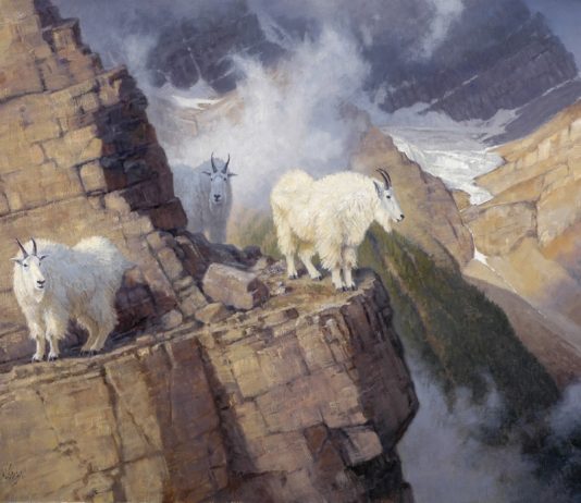 Ralph Oberg "The Enlightened" wildlife painting mountain goats