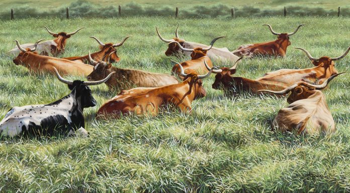 Ann Hanson Longhorn Lounge cattle prairie western oil painting