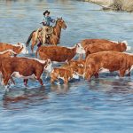 Ann Hanson Skinny Dippin cows cowboys horses equine water river western oil painting