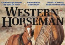 Ann Hanson Western Horseman magazine cover image horse baby colt western oil painting