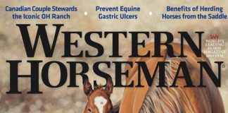 Ann Hanson Western Horseman magazine cover image horse baby colt western oil painting