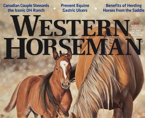 Ann Hanson Western Horseman magazine cover image horse baby colt western oil painting