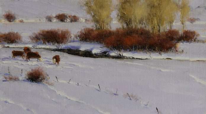 Dan Young A Winter Gathering snow cows snow tracks snowy landscape oil painting