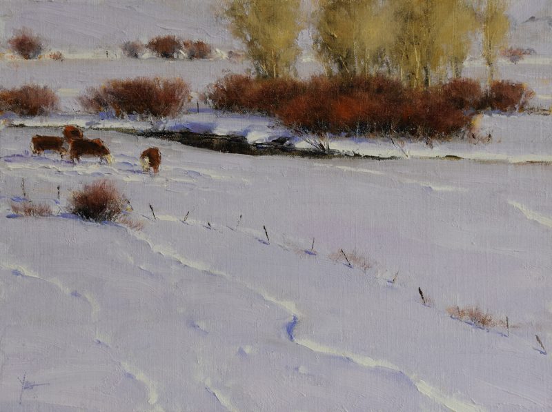 Dan Young A Winter Gathering snow cows snow tracks snowy landscape oil painting