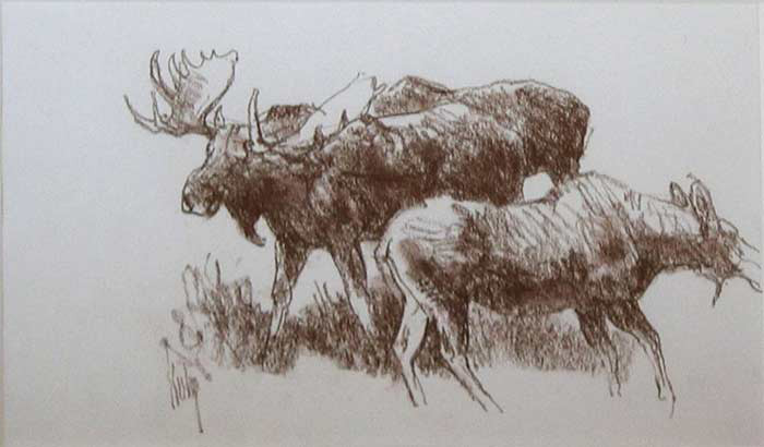 Bob Kuhn Three Moose Study wildlife drawing