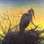 mary cornish nest bird egret oil painting sunrise sunset