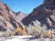 matt smith the mojave desert wash landscape oil painting cacti