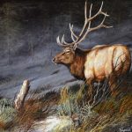 trevor swanson indomitable elk wildlife oil painting