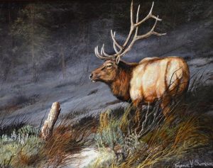 trevor swanson indomitable elk wildlife oil painting