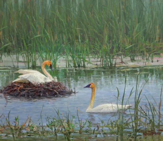 andrew peters wildland nativity geese nesting marsh lake wildlife oil painting prix de west exhibition