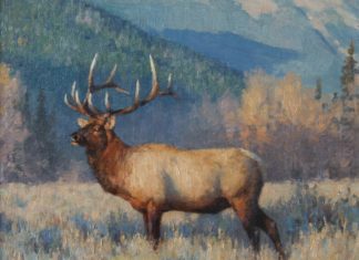 tucker smith distant bugle elk landscape wildlife oil painting
