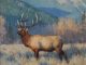 tucker smith distant bugle elk landscape wildlife oil painting