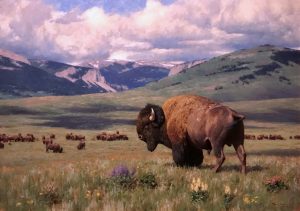 tucker smith return of summer buffalo bison mountains clouds landscape wildlife oil painting prix de west award winner