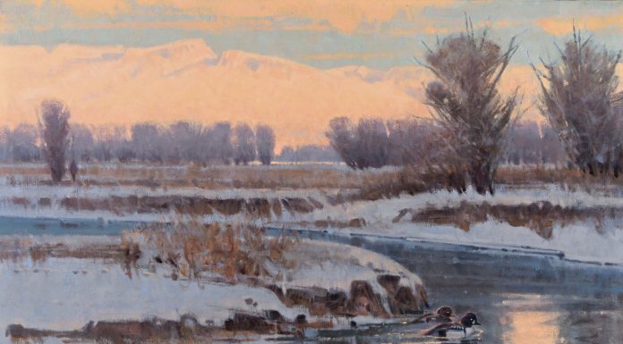 Jim James Morgan A Winter Evening ducks barrows goldeneye bird wildlife oil painting stream river brook snow winter icy