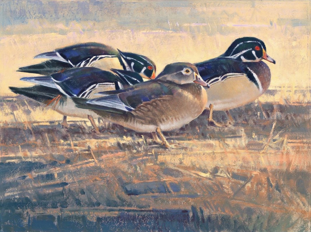 Jim James Morgan Center Of Attention duck drake bird wildlife oil painting snow winter