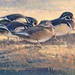 Jim James Morgan Center Of Attention duck drake bird wildlife oil painting snow winter