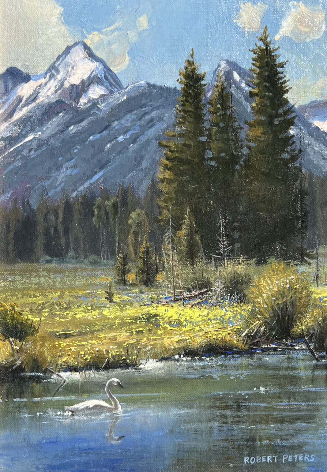 Robert Peters Living Waters Study duck geese heron swan wildlife landscape oil painting Tetons mountains pine trees