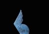 Tim Cherry Against The Wind swan in flight bird wildlife bronze sculpture