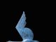 Tim Cherry Against The Wind swan in flight bird wildlife bronze sculpture