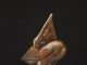 tim cherry big gulp pelican eating fish wildlife bronze sculpture