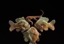 Tim Cherry Crawfish Conundrum sun fish crawdad contemporary wildlife bronze sculpture