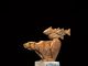 Tim Cherry Dreams Of Salmon grizzly bear fish wildlife bronze sculpture