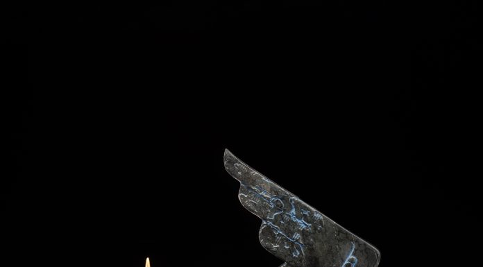 Tim Cherry Free Bird America celebration of 250 years patriotic bird sun America wildlife bronze sculpture