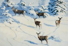stephen elliott afternoon shadows deer whitetail snow wilderness landscape oil painting