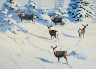stephen elliott afternoon shadows deer whitetail snow wilderness landscape oil painting