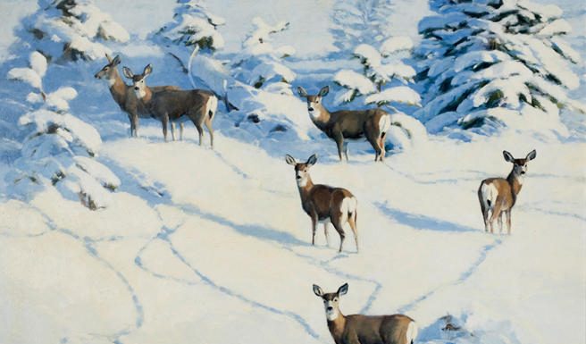 stephen elliott afternoon shadows deer whitetail snow wilderness landscape oil painting