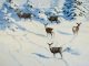 stephen elliott afternoon shadows deer whitetail snow wilderness landscape oil painting