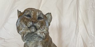 Ken Rowe Forget Me Not cat lynx bobcat wildlife bronze sculpture
