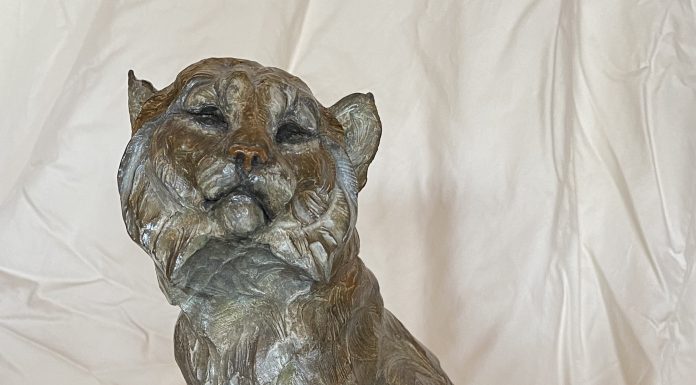 Ken Rowe Forget Me Not cat lynx bobcat wildlife bronze sculpture