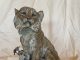 Ken Rowe Forget Me Not cat lynx bobcat wildlife bronze sculpture