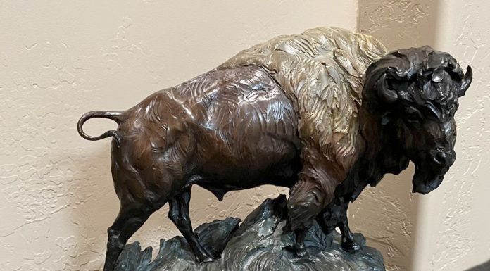 Ken Rowe The Living Legend buffalo bison wildlife bronze sculpture