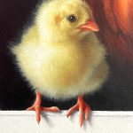 Marina Dieul Fier Papa Proud Dad rooster chick chicken farm ranch western oil painting close up chick