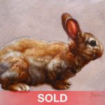 Marina Dieul Historie de Lapin bunny rabbit oil painting wildlife