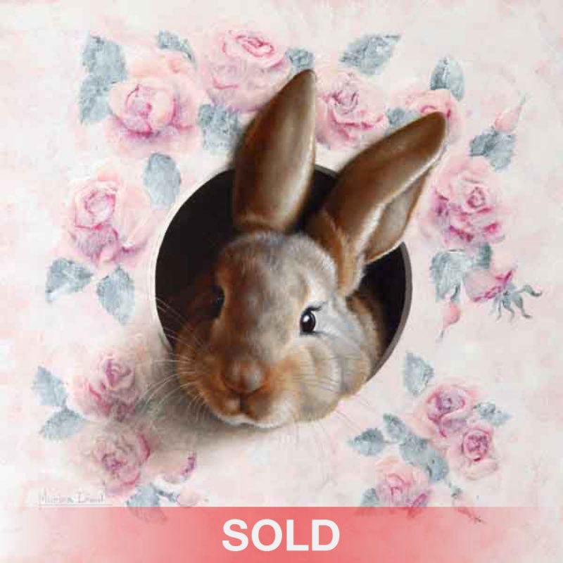 Marina Dieul Lapin 40 rabbit bunny oil painting wildlife sold
