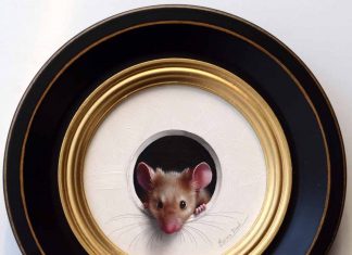Marina Dieul Petite Souris 479 mouse mice wildlife oil painting