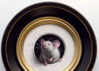 Marina Dieul Petite Souris 481 mouse mice wildlife oil painting