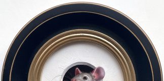 Marina Dieul Petite Souris 836 little mouse mice wildlife trompe l'oeil oil painting framed humorous art fantasy