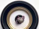 Marina Dieul Petite Souris 836 little mouse mice wildlife trompe l'oeil oil painting framed humorous art fantasy