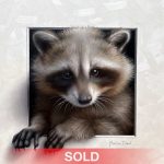 Marina Dieul Raton Laveur 4 raccoon varmit scoundrel wildlife oil painting sold