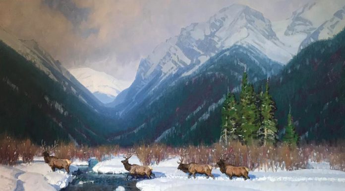 wayne wolfe mountain monarchs wildlife elk snow mountains western oil painting