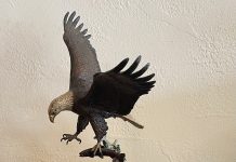 Frank DiVita American Spirit eagle in flight catching fish hunting fishing action wildlife bronze sculpture
