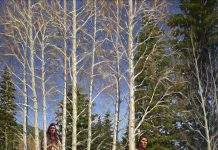 James Ayers Through The Forest Native American Indians warriors chief horse snow aspen tree western oil painting