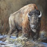 Trevor Swanson A Chill Wind buffalo bison wildlife oil painting