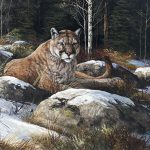 Trevor Swanson Afternoon Rest cougar mountain lion puma cat wildlife oil painting